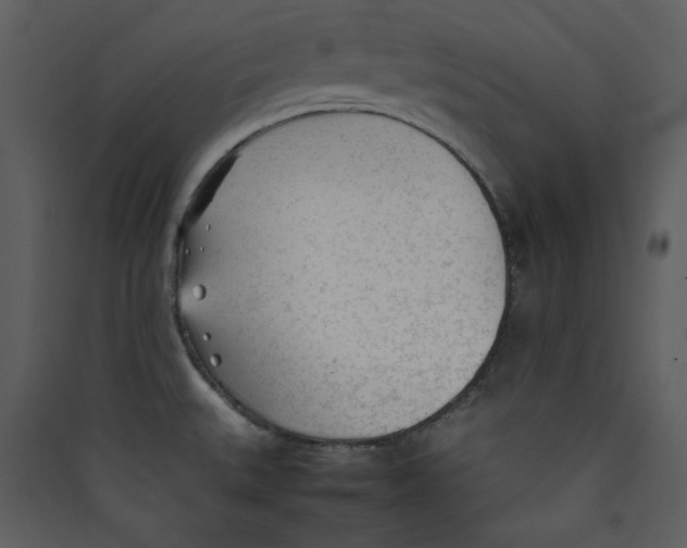 X0000089361527200707131604