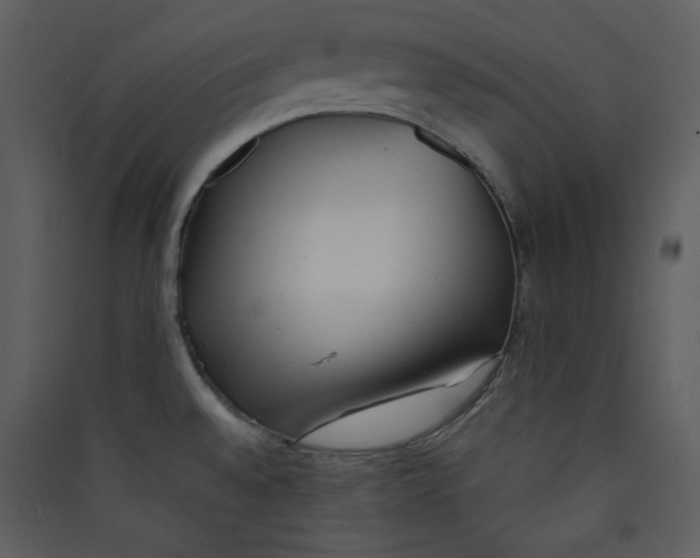 X0000089361528200707131604