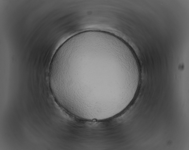 X0000089361529200707131604