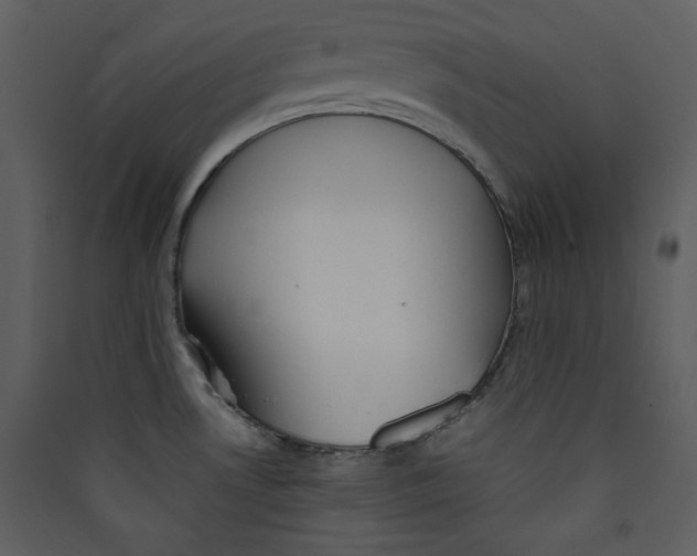 X0000089361530200707131604