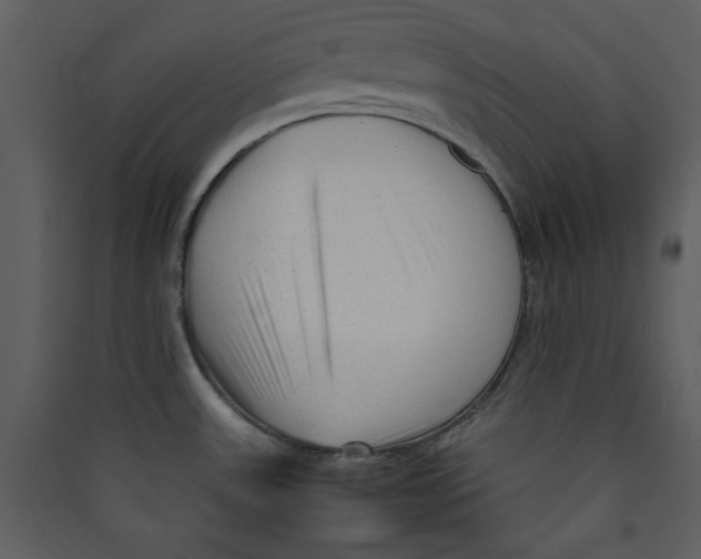 X0000089361531200707131604
