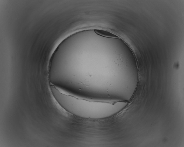 X0000089361532200707131605
