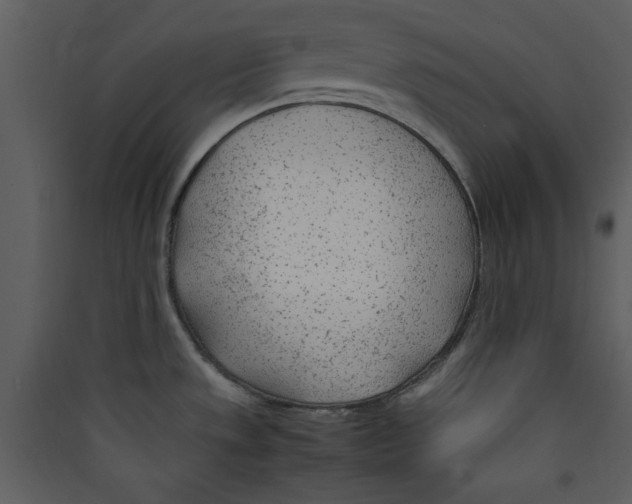 X0000089361533200707131605