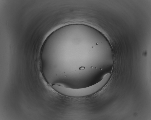 X0000089361534200707131605