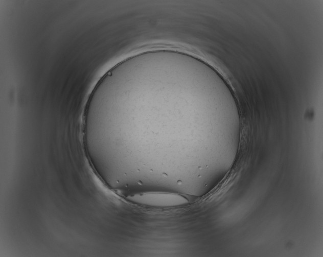 X0000089361535200707131605
