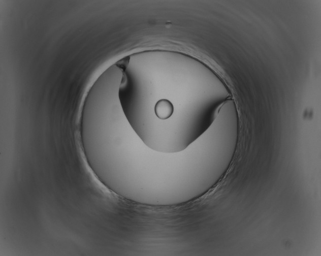 X0000089361536200707131605