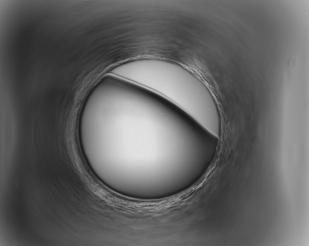 X0000089370001200706150852