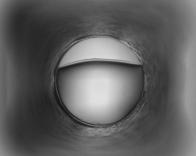 X0000089370005200706150852