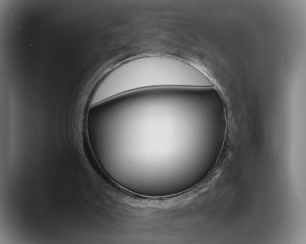X0000089370007200706150852