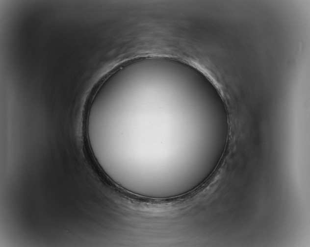 X0000089370008200706150852