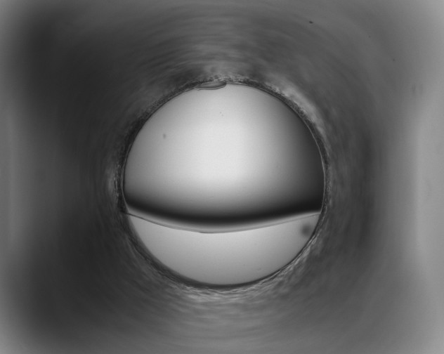 X0000089370009200706150852