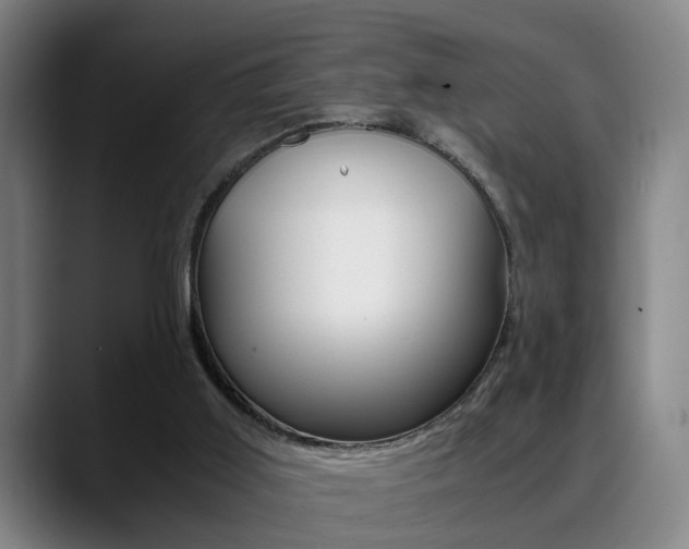 X0000089370011200706150852