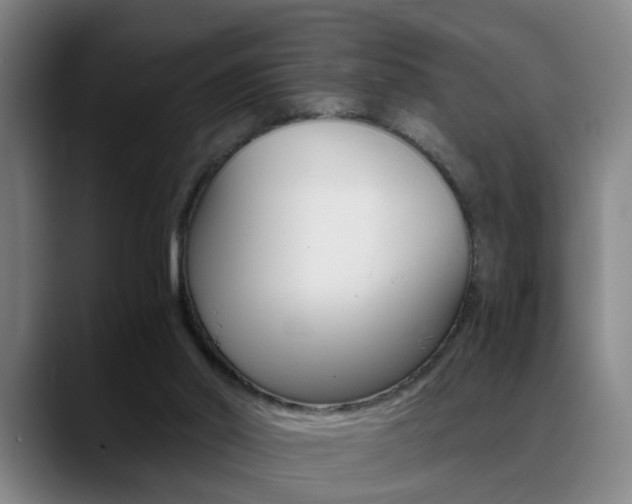 X0000089370014200706150852