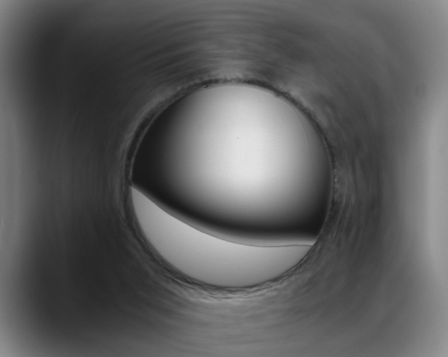 X0000089370015200706150852