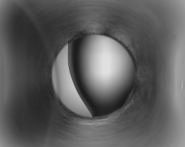 X0000089370017200706150852