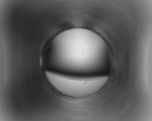 X0000089370019200706150852
