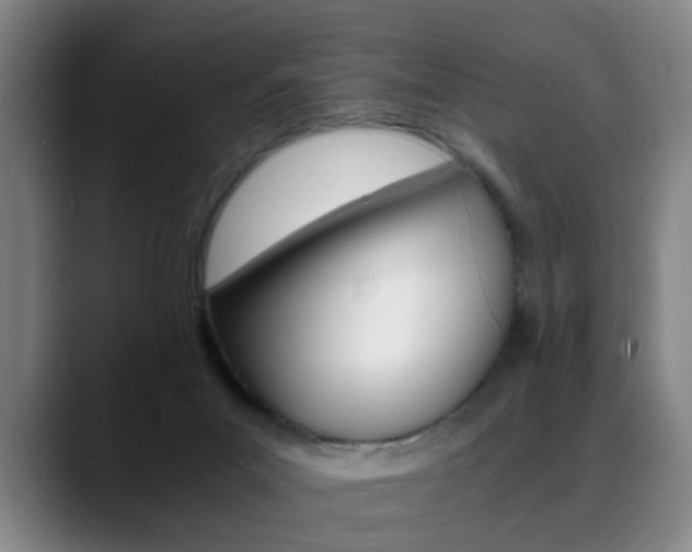 X0000089370023200706150852