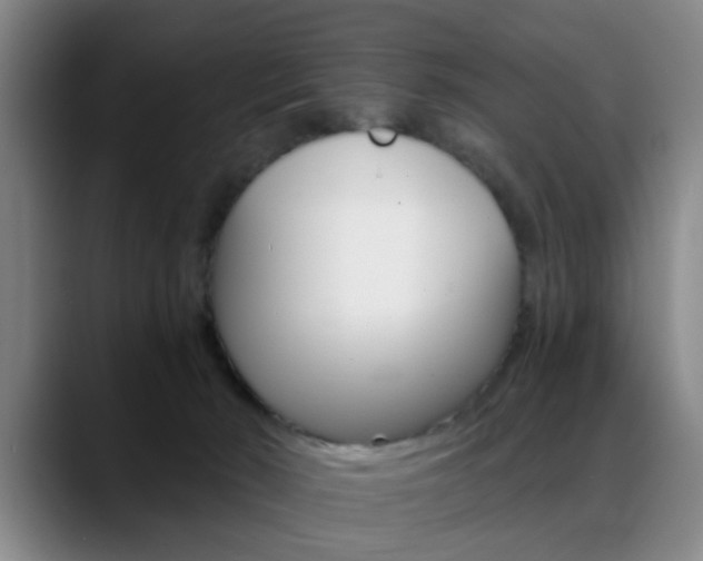 X0000089370030200706150852