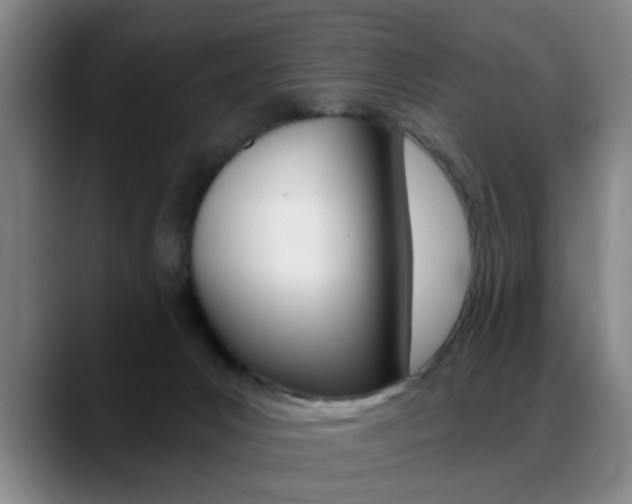 X0000089370031200706150852