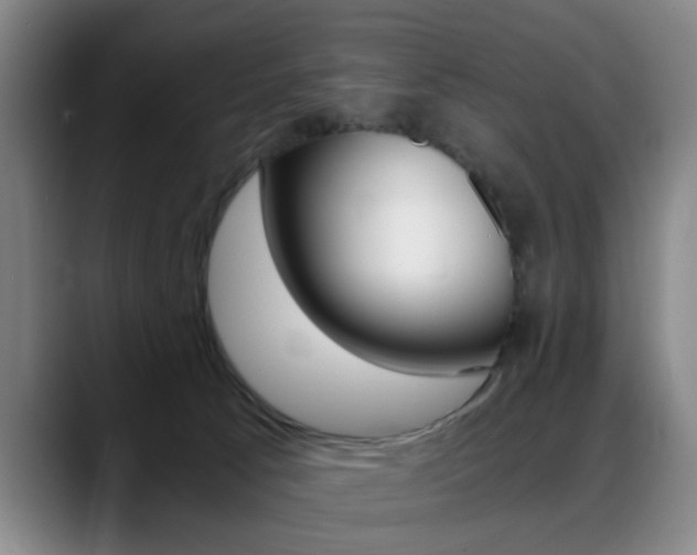 X0000089370033200706150852