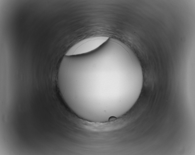 X0000089370034200706150852