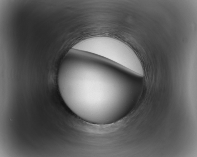 X0000089370035200706150852