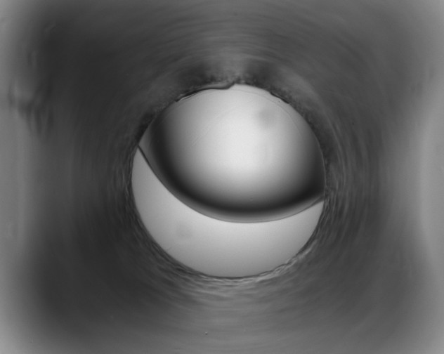 X0000089370037200706150852