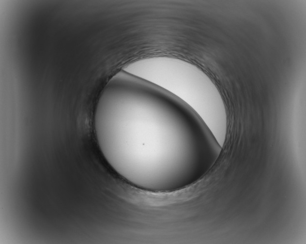 X0000089370039200706150852