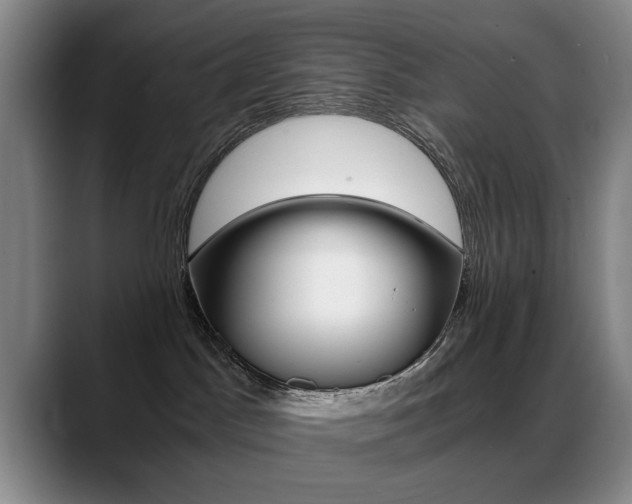 X0000089370045200706150852