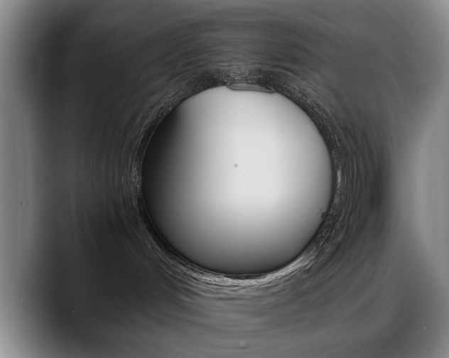 X0000089370048200706150852