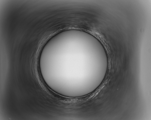 X0000089370049200706150851