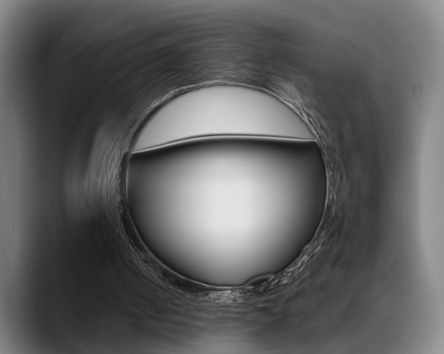 X0000089370050200706150851