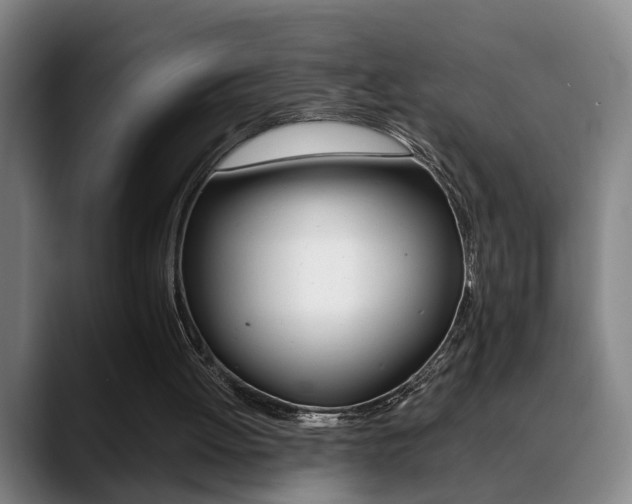 X0000089370052200706150851