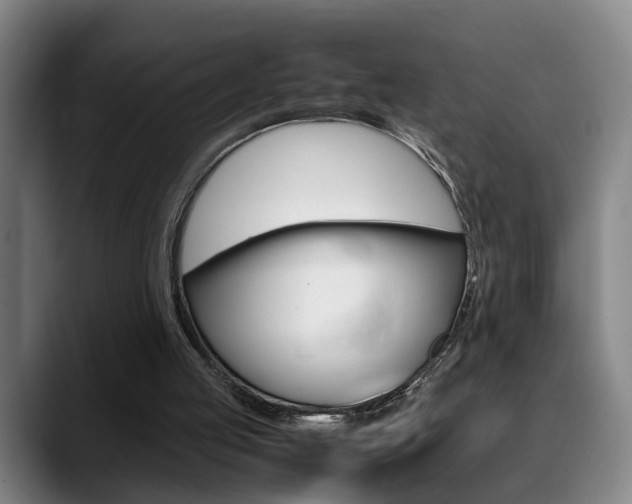 X0000089370053200706150851