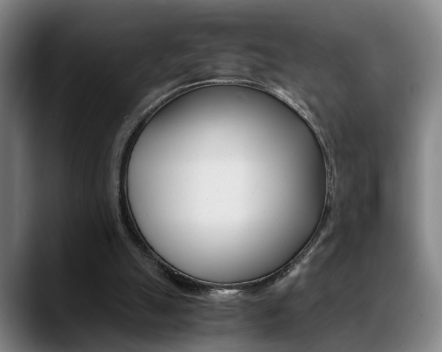 X0000089370055200706150851