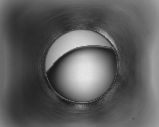 X0000089370057200706150851
