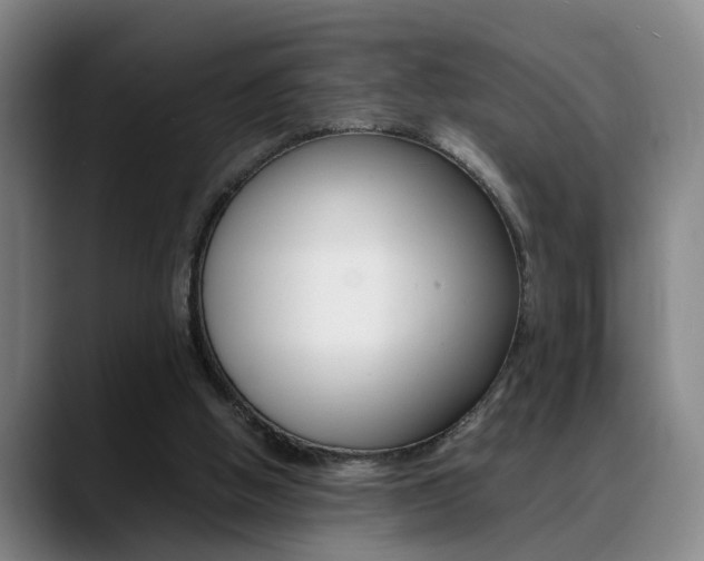 X0000089370058200706150851