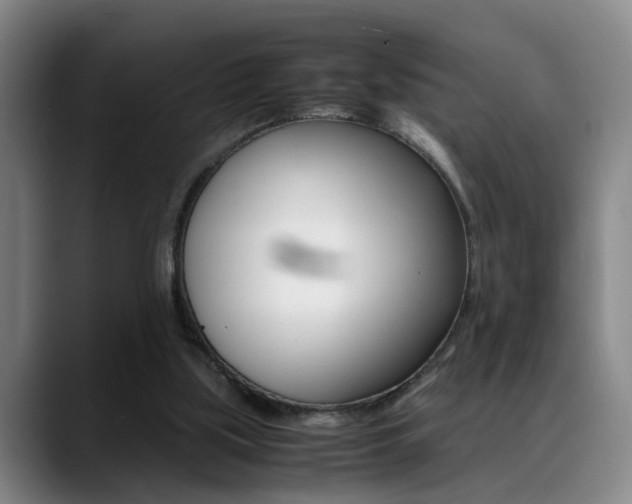X0000089370059200706150851