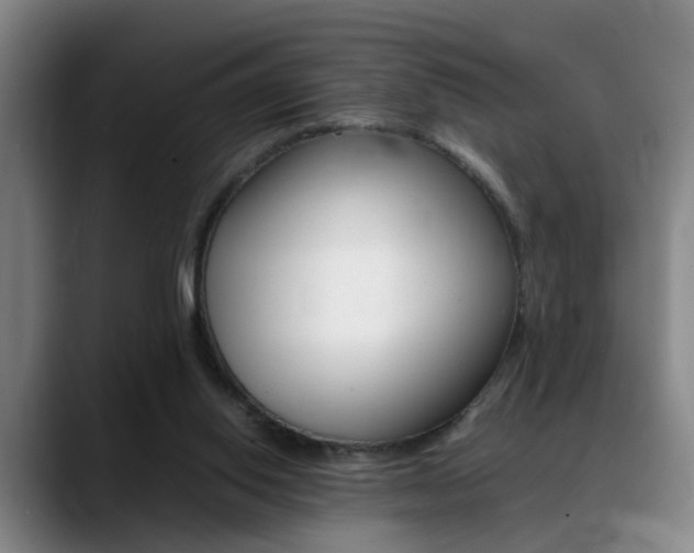 X0000089370062200706150851