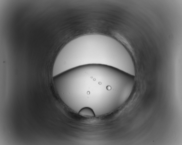 X0000089370065200706150851