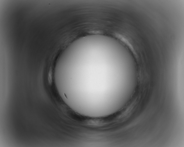 X0000089370069200706150851