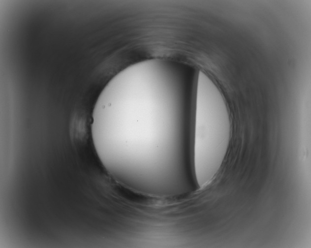 X0000089370074200706150851