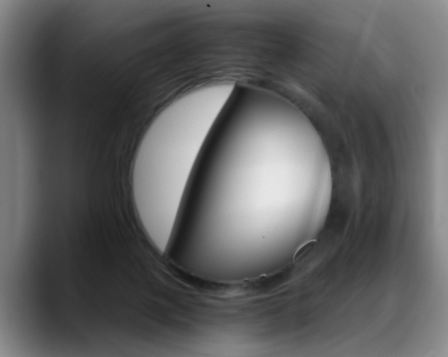 X0000089370075200706150851