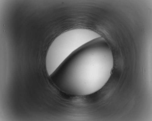 X0000089370077200706150851