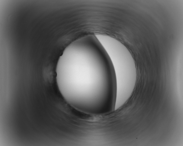 X0000089370080200706150852