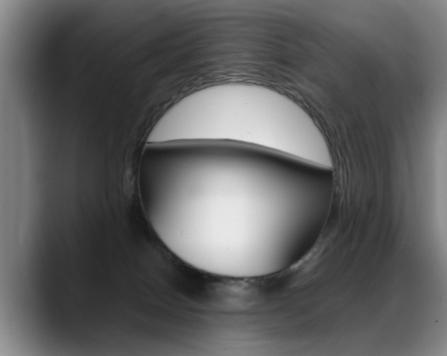 X0000089370086200706150852