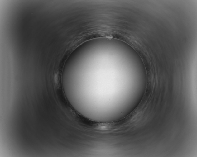 X0000089370088200706150852