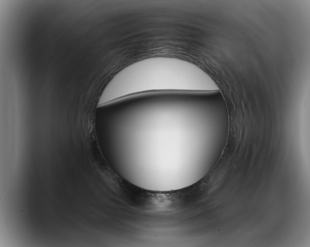 X0000089370091200706150852