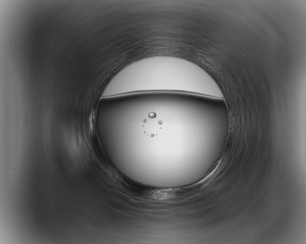 X0000089370094200706150852