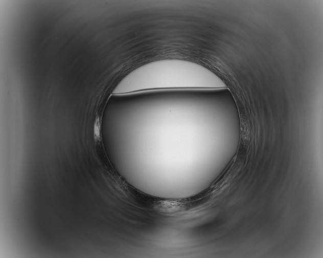 X0000089370095200706150852